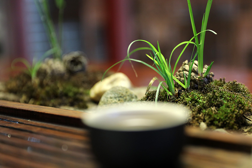 师行道院新年寄语