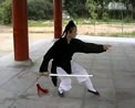 武当太极视频