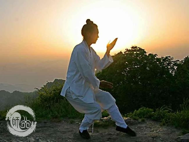 武当内家拳技击原理