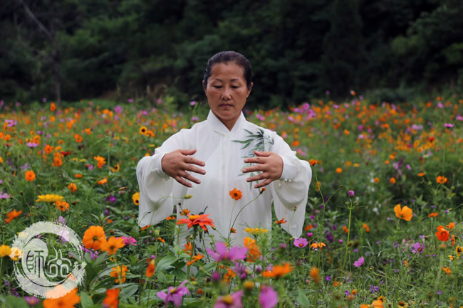 练太极拳的核心是腰主宰