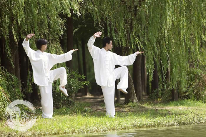 太极拳“力由脊发”的奥秘