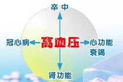 太极拳治“三高”有奇效