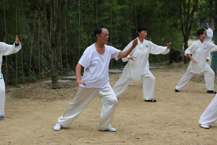 太极拳文化魅力不可估量