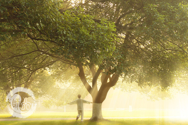 武当太极拳教程 详解武当太极拳13式 武当太极拳教程 详解武当太极拳13式