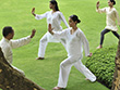 研究表明：常练太极拳可以缓解帕金森的症状