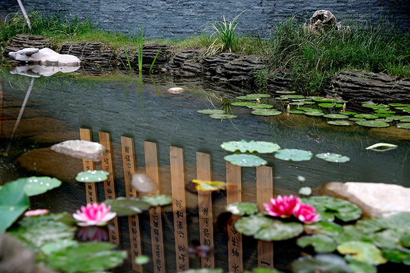 师行亲授班集体玄门剑纪念版