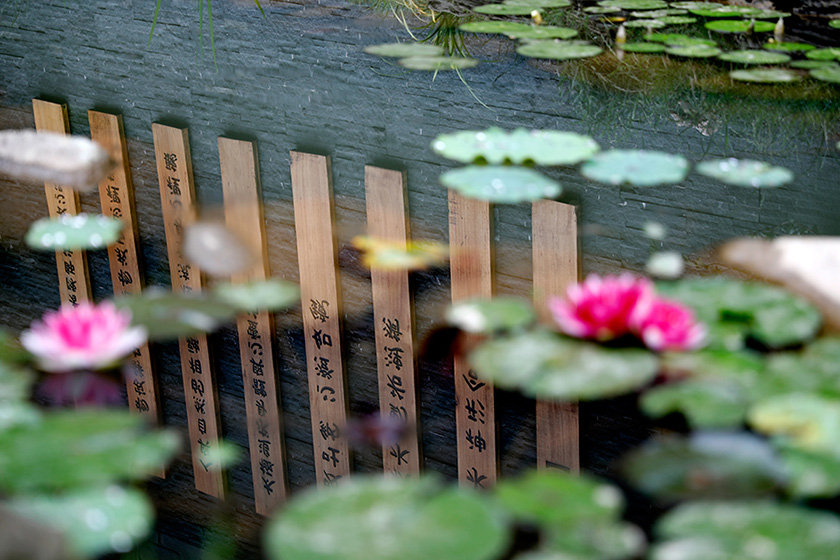 亲授班玄武拳演练