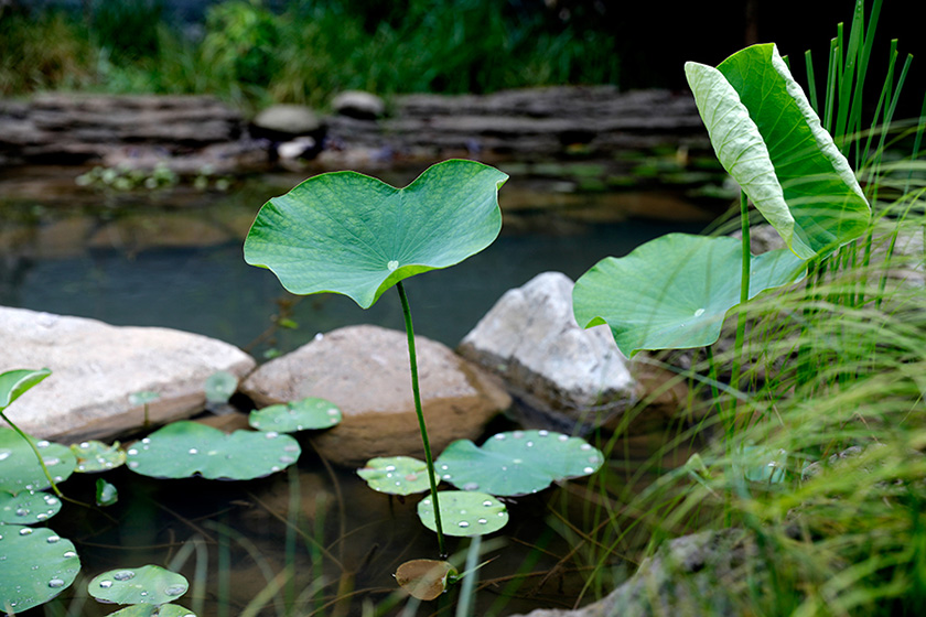 亲授班玄武拳演练