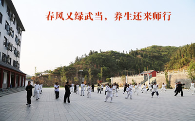 春风又绿武当，养生还来师行