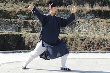 陈师行武当太极十三势最新版