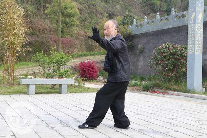 武术被列为国家重点扶持项目 