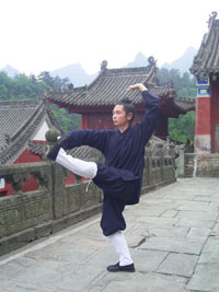 53,神龟<em>入穴</em>