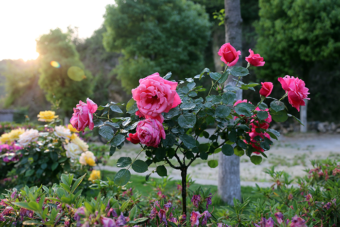 武当深处有桃源,圣山必会有圣贤