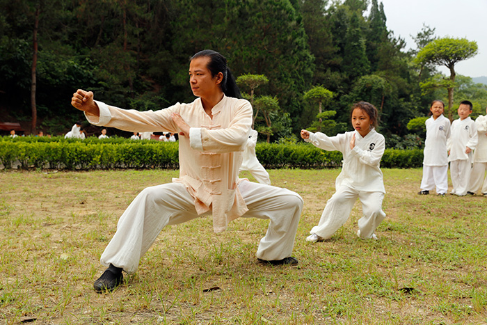 武当镇山拳之伏虎拳
