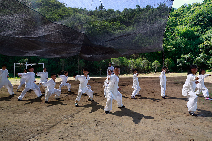 武当镇山拳之伏虎拳