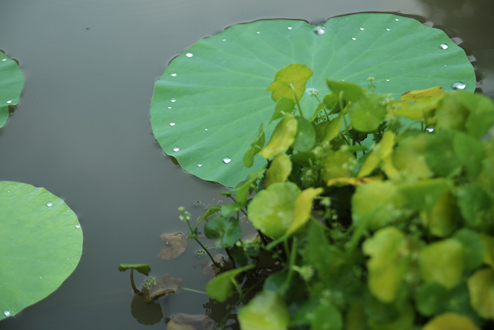 问道武当，养生师行—她今年74岁！