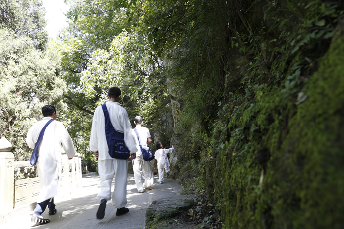 仙山漫游，遇道武当！