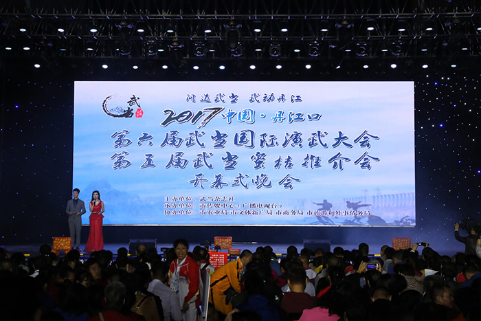 师行武馆九国学员亮相第六届武当国际演武大赛