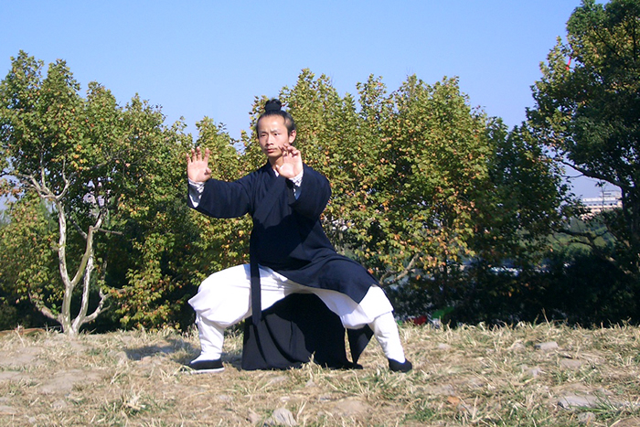 武当上乘拳法之龙华拳