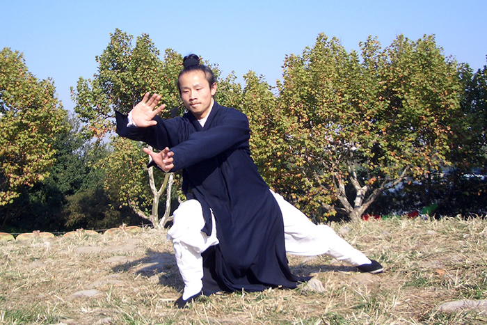 武当上乘拳法之龙华拳