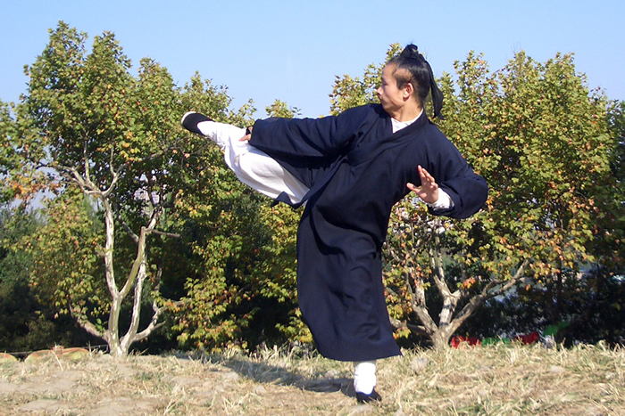 武当上乘拳法之龙华拳