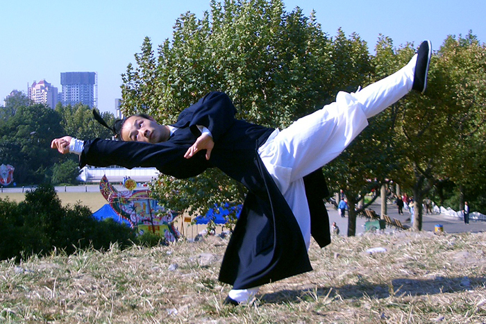 武当上乘拳法之龙华拳