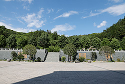 大美诗词，诗有“道意”