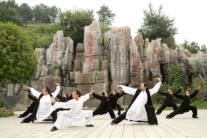 为了心中的功夫梦，他们从世界各地而来！