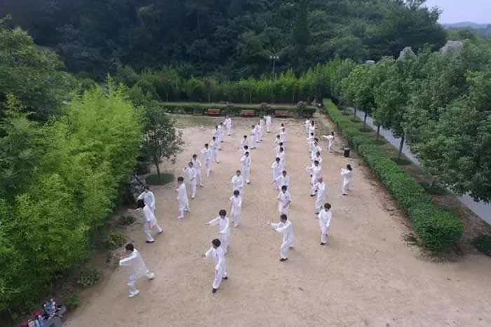 为了心中的功夫梦，他们从世界各地而来！