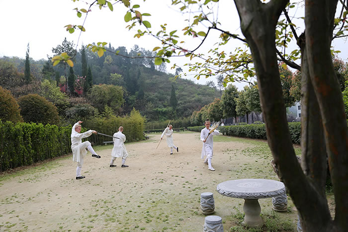 太极诗人谈修行：修的是心，行的是路