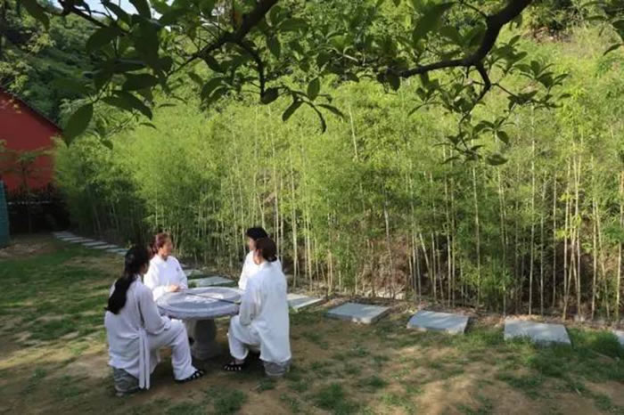 太极诗人谈修行：修的是心，行的是路