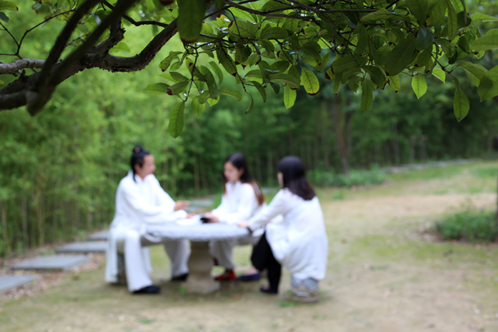 高规格的武当武术夏令营