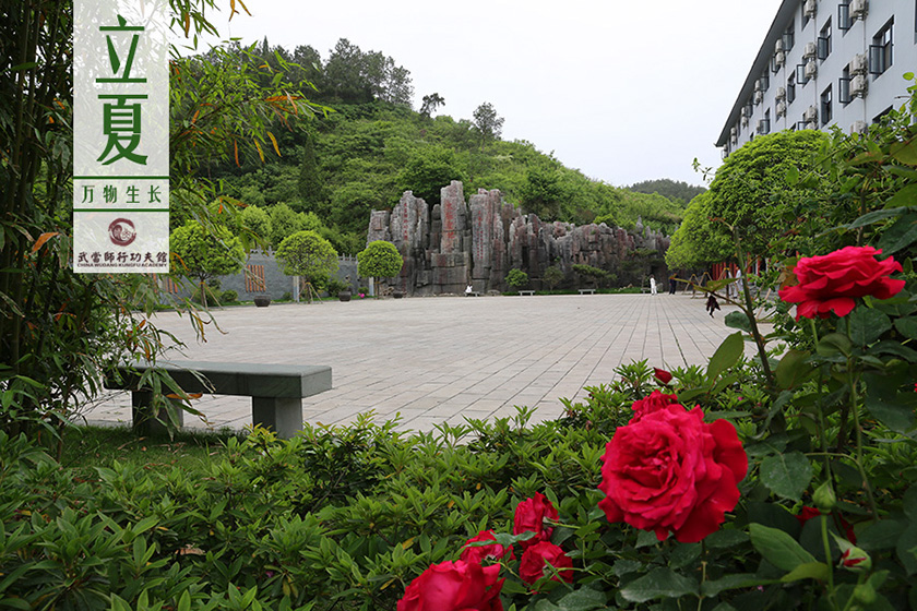 城市归来体冷暖 师行观止四季清？