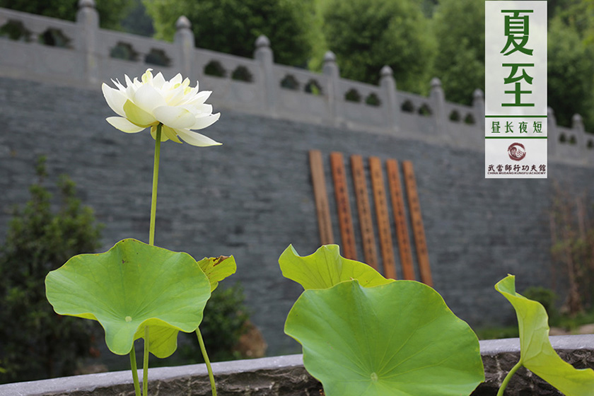 城市归来体冷暖 师行观止四季清？