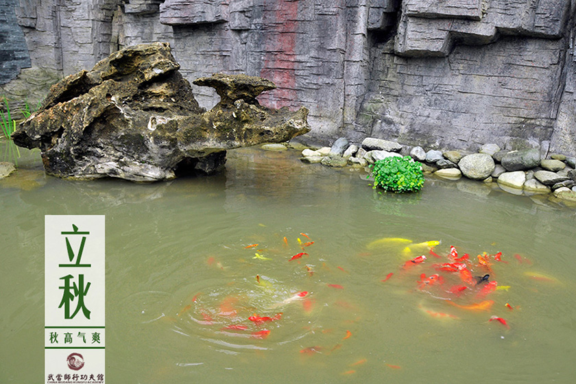 城市归来体冷暖 师行观止四季清？