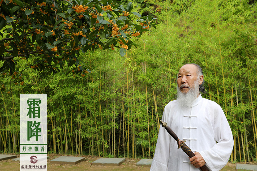 城市归来体冷暖 师行观止四季清？