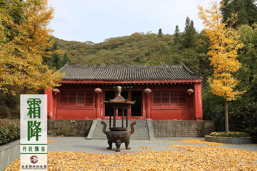 城市归来体冷暖 师行观止四季清？