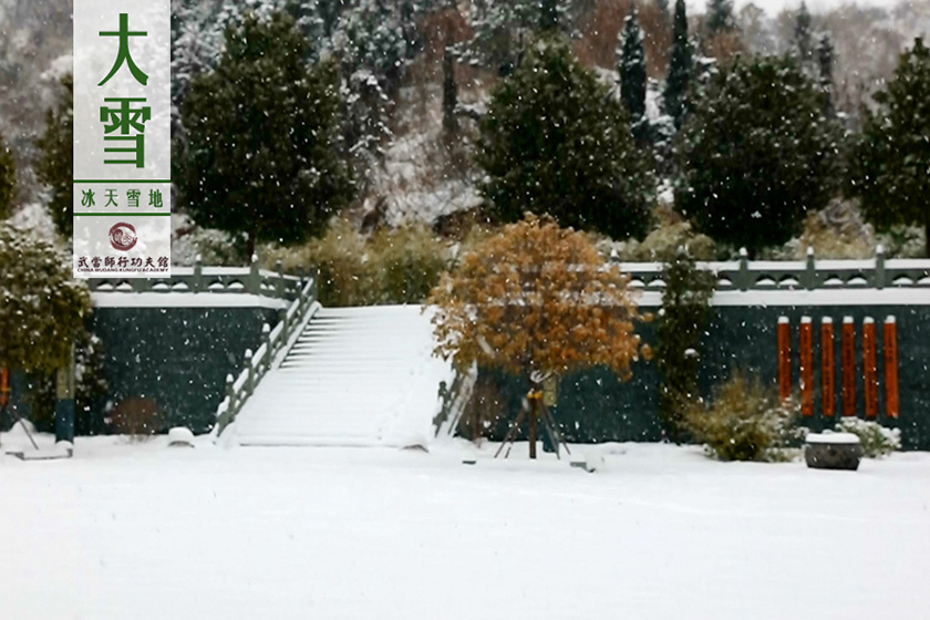 城市归来体冷暖 师行观止四季清？