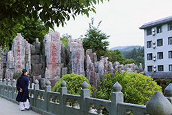 春风十里，不如你——师行。