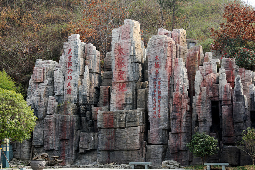 2018年首期师行亲授班圆满结业