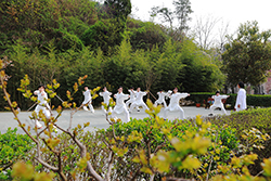 五一三天假 养生武当行