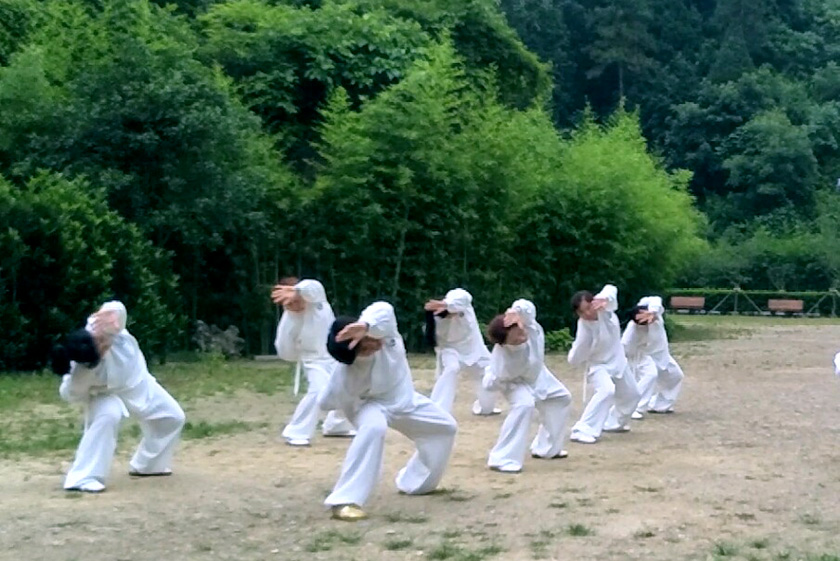 功进一尺，境高一层