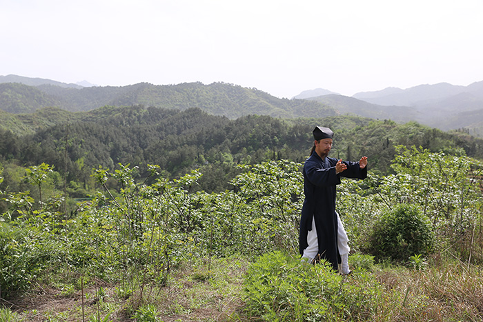 荷兰电视台专访武当功夫