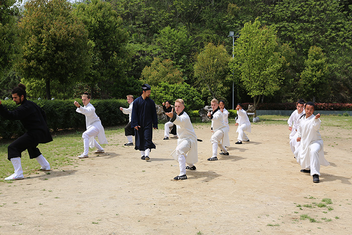 荷兰电视台专访武当功夫
