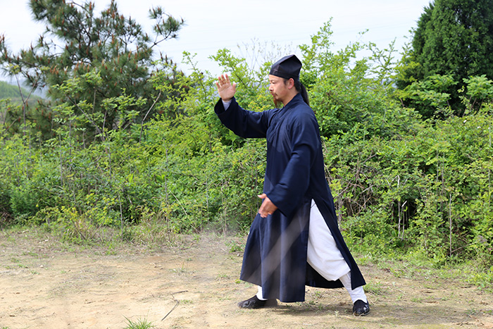 荷兰电视台专访武当功夫