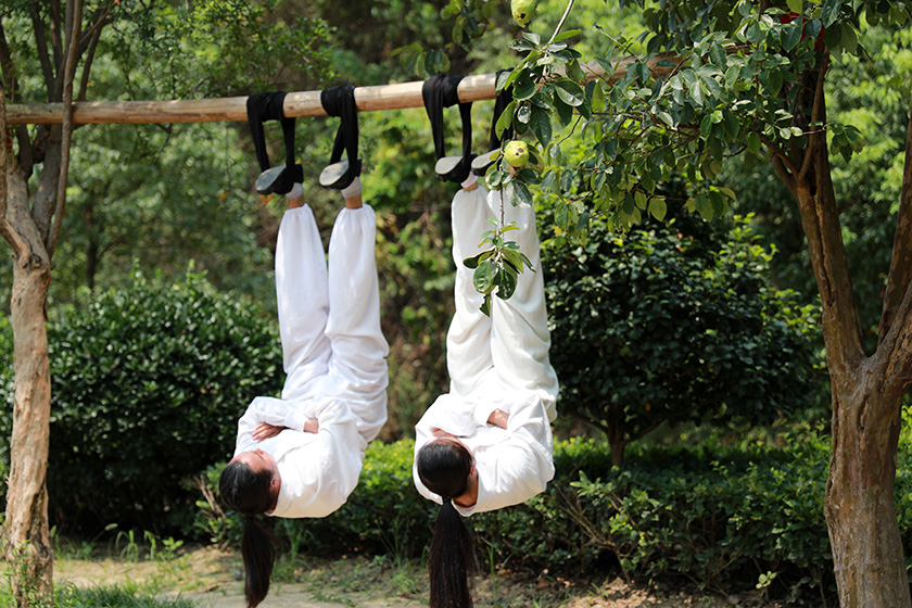 河南卫视专访武当功夫