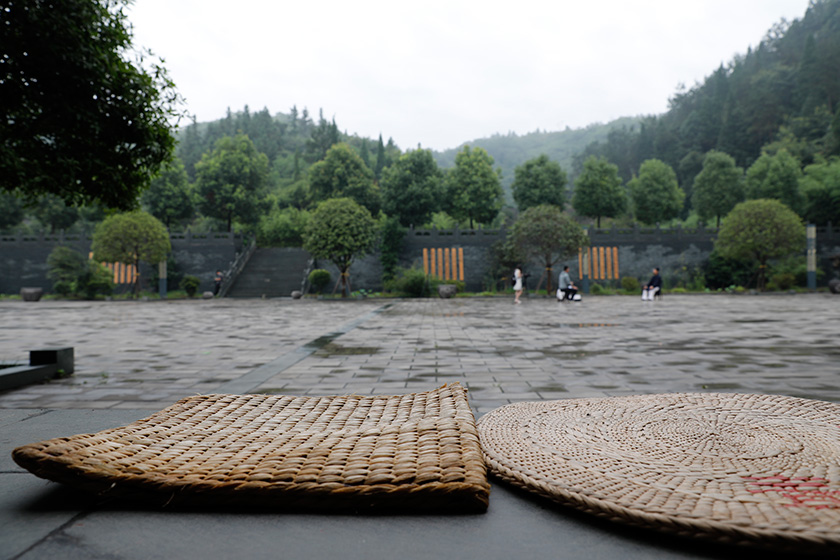 助力武当369，新浪媒体来馆采访报道