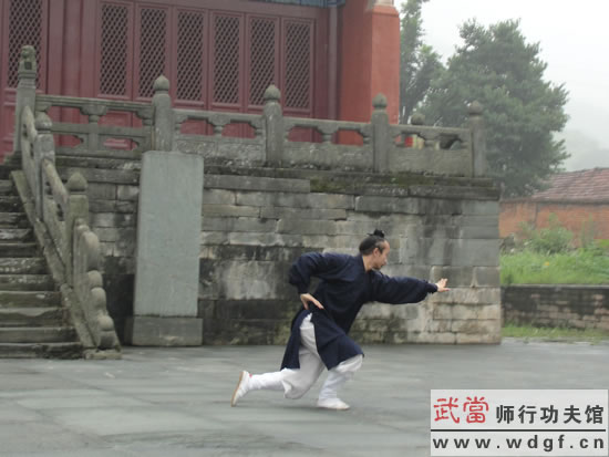 武当龙华拳