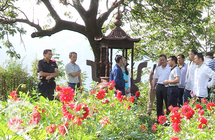 中国文化遗产研究院专家来武当山调研