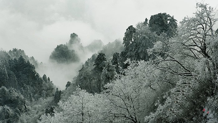 银装素裹话武当 白雪红墙万象新